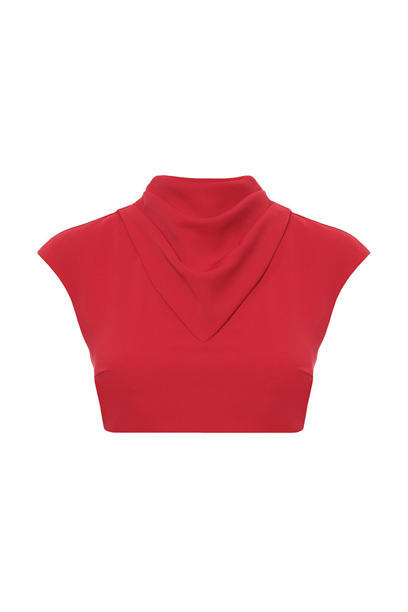 Кроп-топ в цвете Красный по цене 18 000 ₽ | WITHOUTFAIL.RU